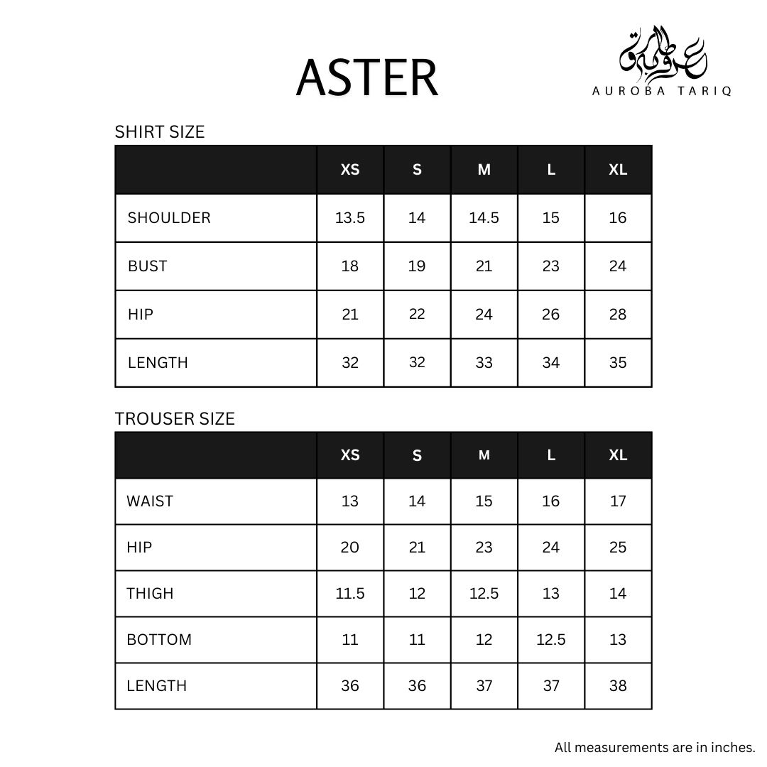 Aster - Image 7