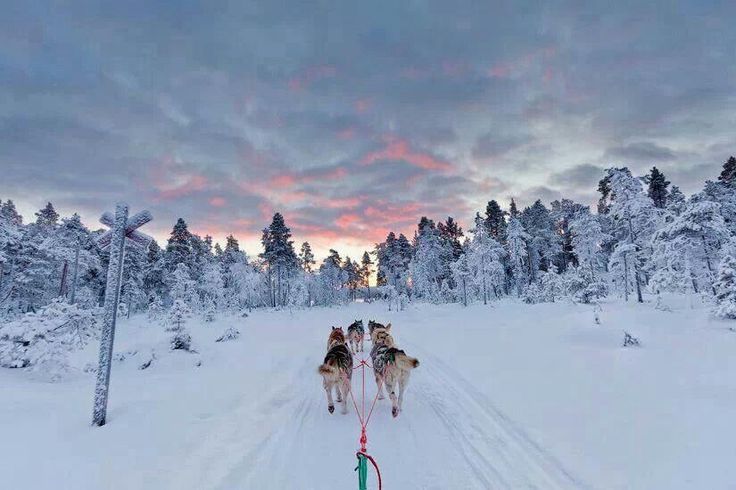 Discover Finland’s Extraordinary Beauty Through Our Traveler Photos
