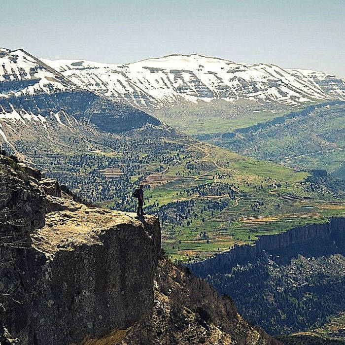 Explore Stunning Lebanese