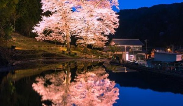 Marvel at Japan’s Stunning
