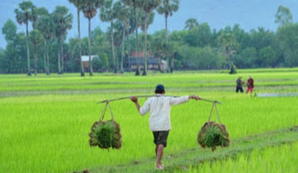 Where Work Meets Wonder